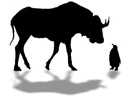 GNU and Linux and Microsoft